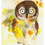 Owl - 8x10 Fine Art Print ..